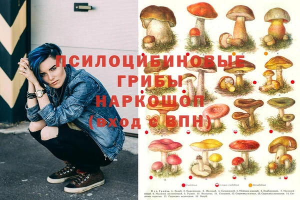 мяу мяу кристалл Инта