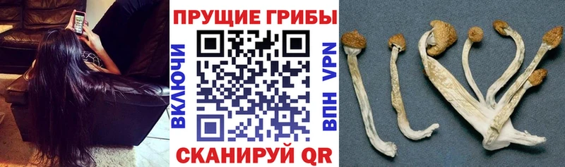 Купить закладки Воркута Псилоцибиновые грибы Magic Shrooms